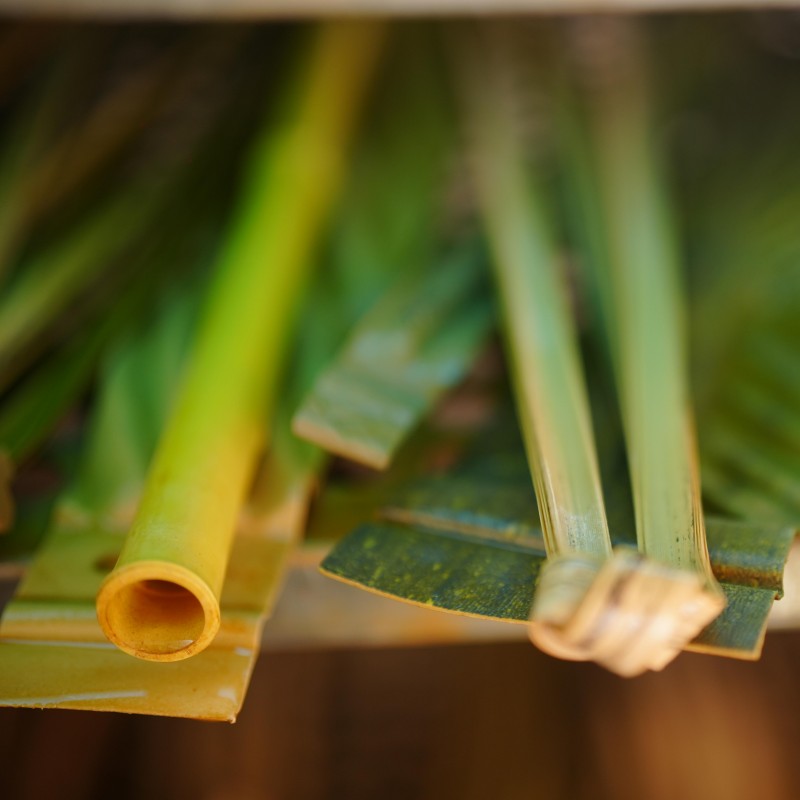 Artificial-Bamboo-Anti-Fungal-Test-ASTM-G21
